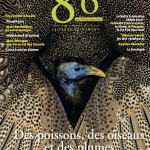 8'6 numérique n°3