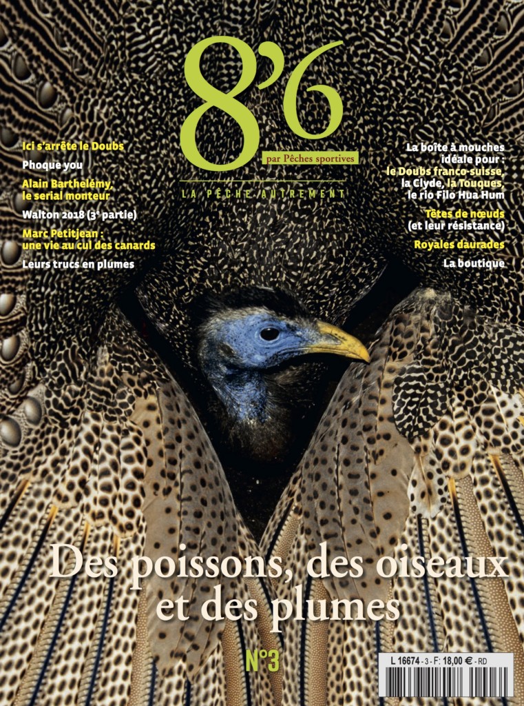 8'6 numérique n°3