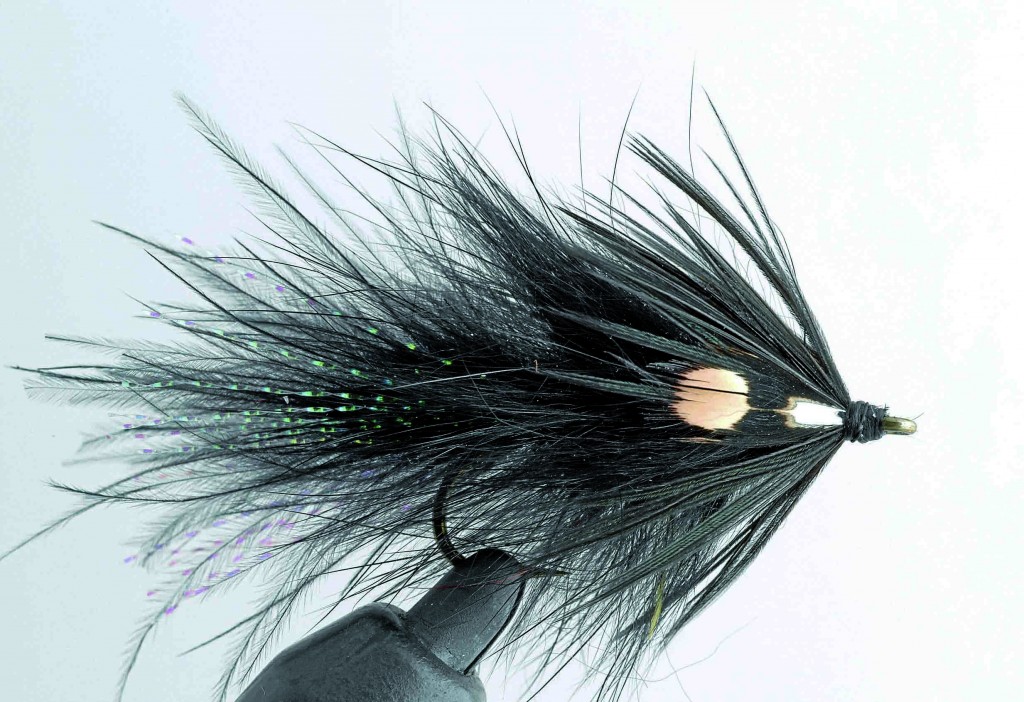 Rabbit Black / JC