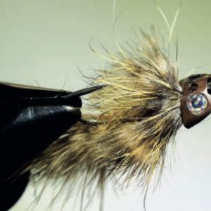 Le sculpin