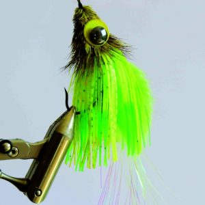 Horny toad fly
