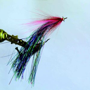 Chatter fly