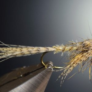 Émergente de mouche de mai ouette