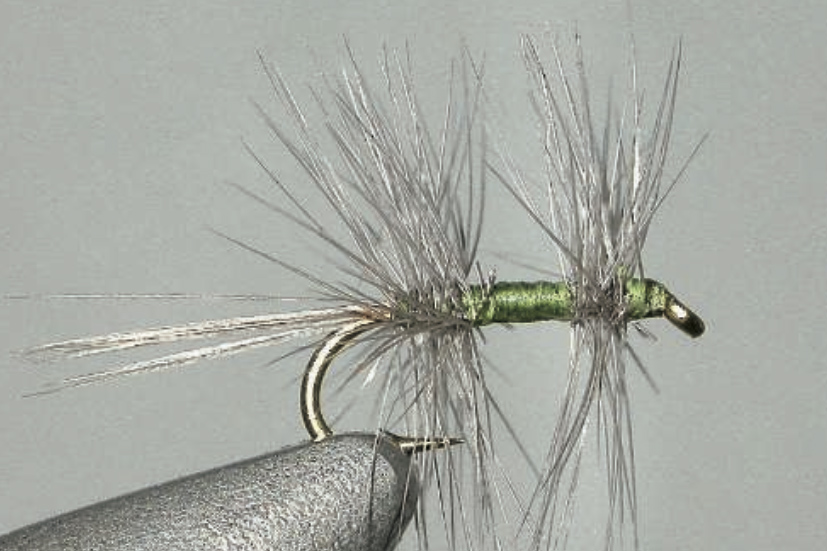 Double collerette : Sadle de Whitting Farms (selle de coq) et Micro Barb de Metz
