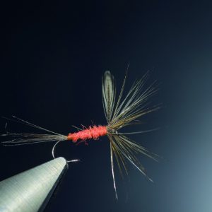 Incandescente