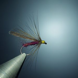L’imago