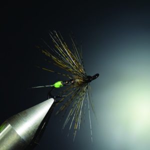 Mouche à saumon