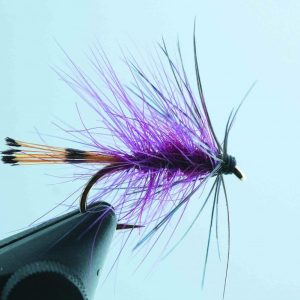 Claret Bumble