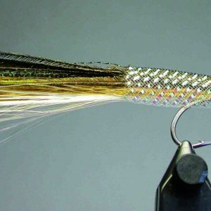 Poissonnet Ez Body