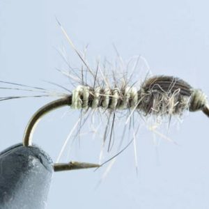 BWO Deep Emerge