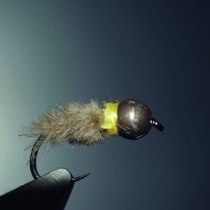 CDC dubbing taillé