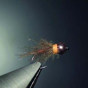 CDC palmer nymph