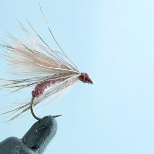 Le sedge émergent