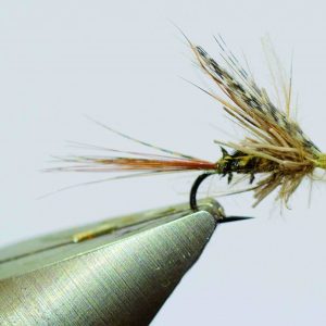 Subimago de march brown