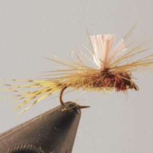 Emergente parachute