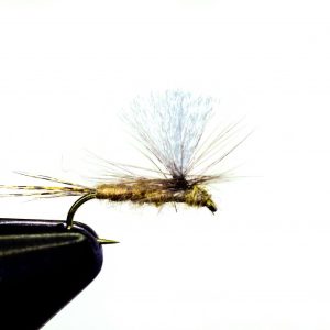 Beatis parachute