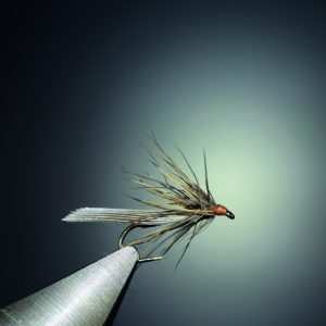 Sedge “rustine”