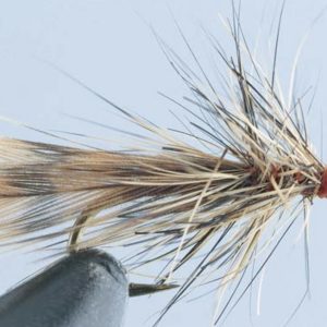 CDB Sedge