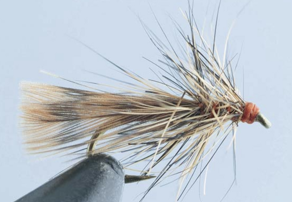 CDB Sedge