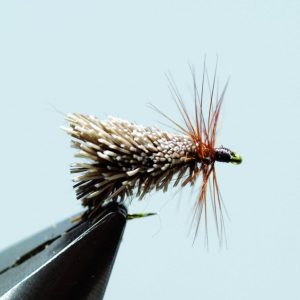 Goddard sedge