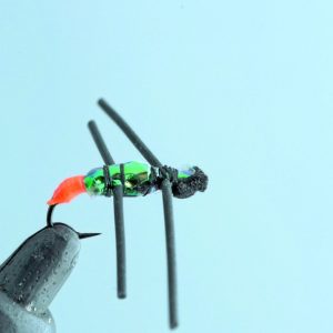 Araignée