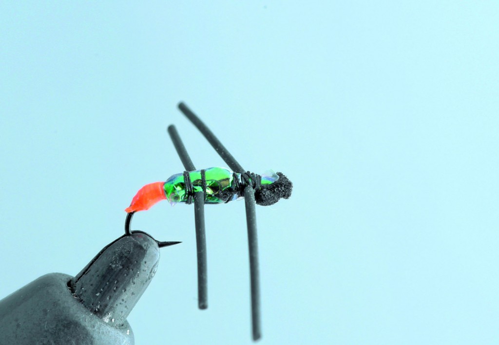 Araignée