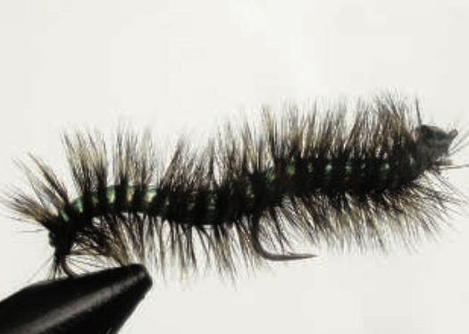 Chenille Foam Flash