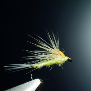 Dun splitsville