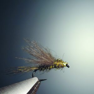 CDC dun splitsville