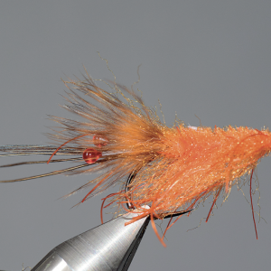 Bonefish shrimp