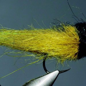 Puglisi bait fish