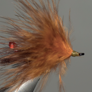 Chicka shrimp