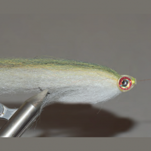 Baitfish