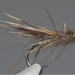 Petit sedge