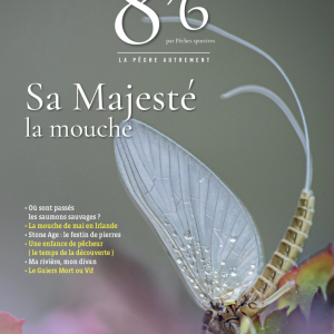 8’6 numérique n°22