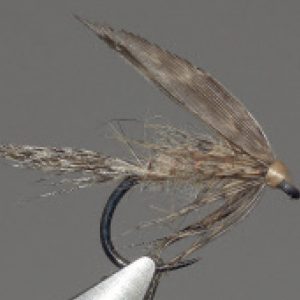 March brown noyée