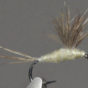 Sulphur comparadun