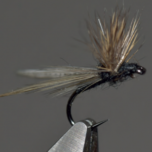 Comparadun gnat