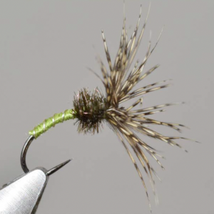 Mouche noyée traditionnelle japonaise