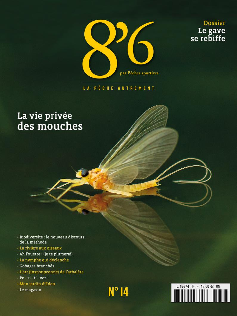 8’6 numérique n°14