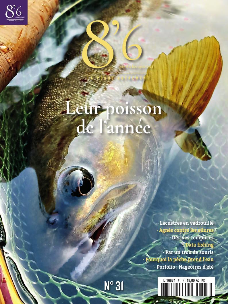 8’6 numérique n°31