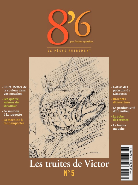 8’6 numérique n°5