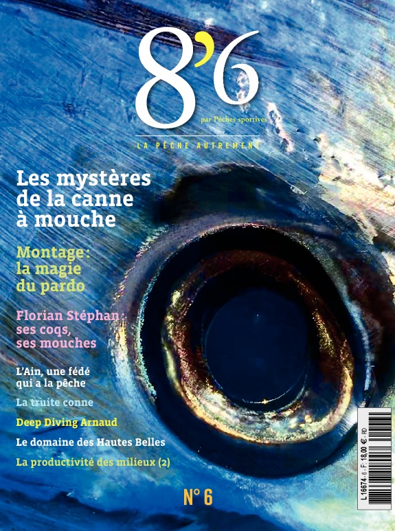8’6 numérique n°6