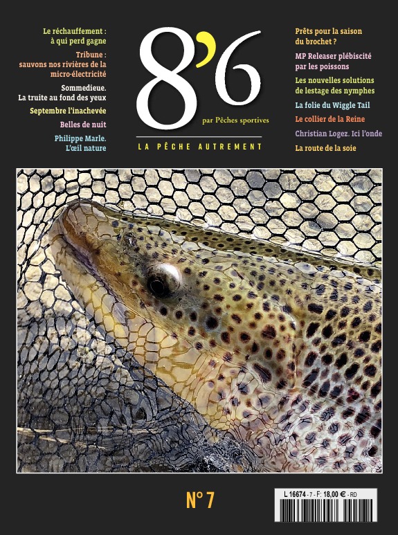8’6 numérique n°7