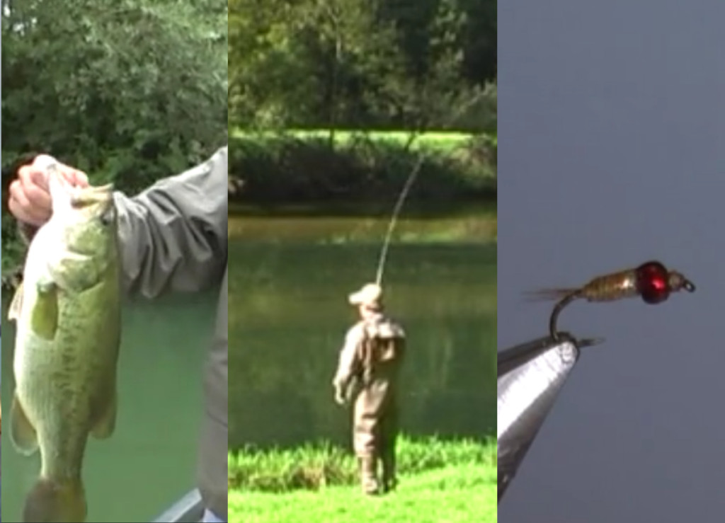 Pêches Sportives Vidéo n°6 : Pêche à la nymphe, montage Nymphe, Black-bass en skipping