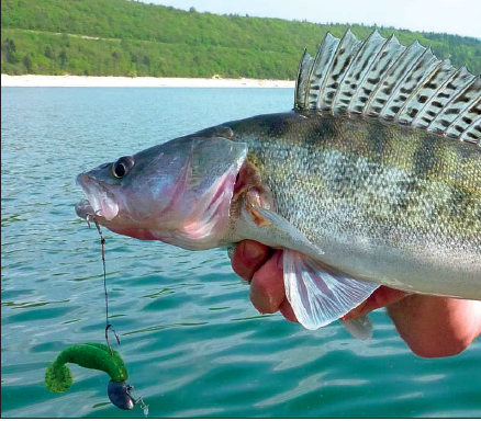 C’est le pêcheur qui fait le leurre
