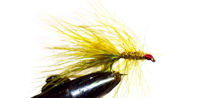 Autour du wooly Bugger (2) : Variante Ice Chenille