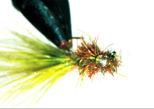 Autour du wooly bugger : variante renversante !