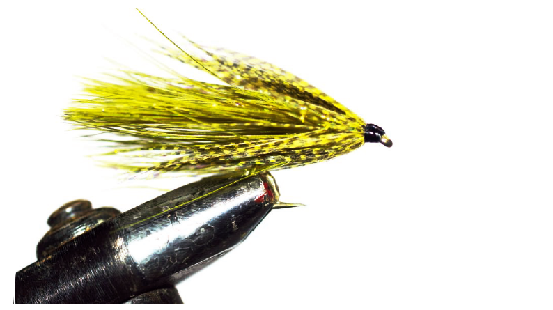 Autour du wooly bugger : Variante en canard malard