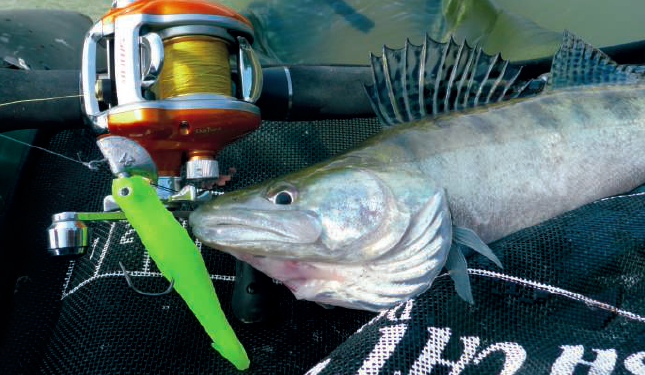 Le tournant… prenez le du bon côté !